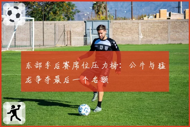 东部季后赛席位压力榜：公牛与猛龙争夺最后一个名额