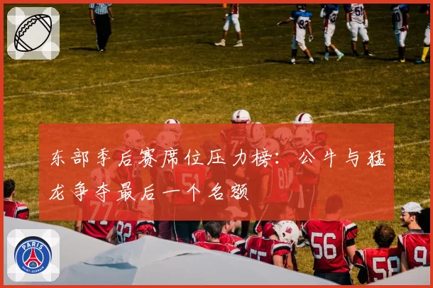 东部季后赛席位压力榜：公牛与猛龙争夺最后一个名额